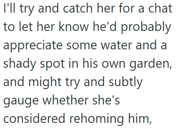 I'll try and catch her for a chat to let her know he'd probably appreciate some water and a shady spot in his own garden, and might try and subtly gauge whether she's considered rehoming him,