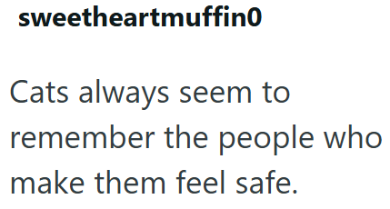 sweetheartmuffino Cats always seem to remember the people who make them feel safe.
