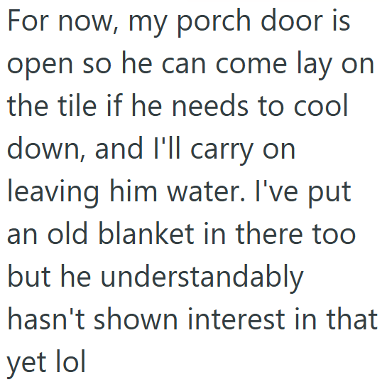For now, my porch door is open so he can come lay on the tile if he needs to cool down, and I'll carry on leaving him water. I've put an old blanket in there too but he understandably hasn't shown interest in that yet lol