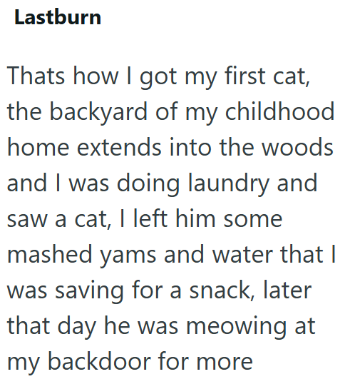 Lastburn Thats how I got my first cat, the backyard of my childhood home extends into the woods and I was doing laundry and saw a cat, I left him some mashed yams and water that I was saving for a snack, later that day he was meowing at my backdoor for more