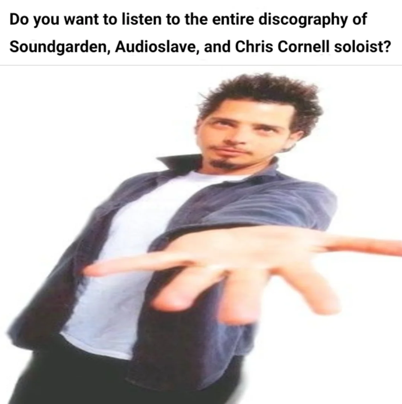 Do you want to listen to the entire discography of Soundgarden, Audioslave, and Chris Cornell soloist?