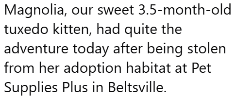 Magnolia, our sweet 3.5-month-old tuxedo kitten, had quite the adventure today after being stolen from her adoption habitat at Pet Supplies Plus in Beltsville.