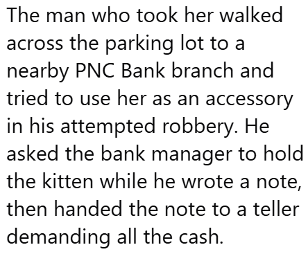The man who took her walked across the parking lot to a nearby PNC Bank branch and tried to use her as an accessory in his attempted robbery. He asked the bank manager to hold the kitten while he wrote a note, then handed the note to a teller demanding all the cash.