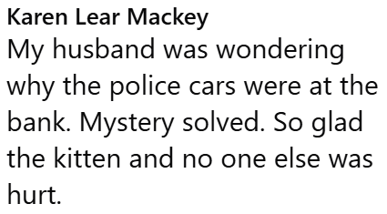 Karen Lear Mackey My husband was wondering why the police cars were at the bank. Mystery solved. So glad the kitten and no one else was hurt.