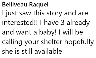 Belliveau Raquel I just saw this story and are interested!! I have 3 already and want a baby! I will be calling your shelter hopefully she is still available