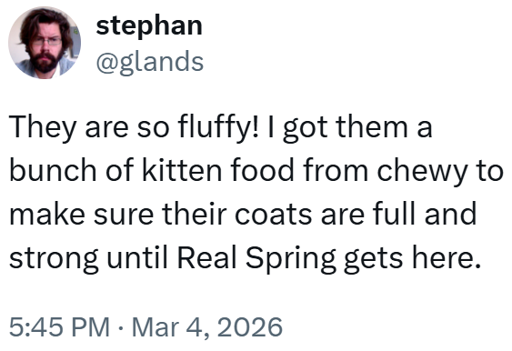 stephan @glands They are so fluffy! I got them a bunch of kitten food from chewy to make sure their coats are full and strong until Real Spring gets here. 5:45 PM · Mar 4, 2026