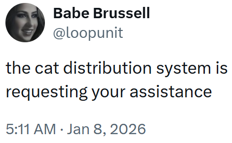 Babe Brussell @loopunit the cat distribution system is requesting your assistance 5:11 AM Jan 8, 2026