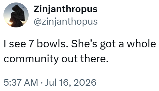 Zinjanthropus @zinjanthopus I see 7 bowls. She's got a whole community out there. 5:37 AM Jul 16, 2026 •