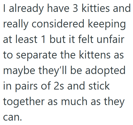 I already have 3 kitties and really considered keeping at least 1 but it felt unfair to separate the kittens as maybe they'll be adopted in pairs of 2s and stick together as much as they can.