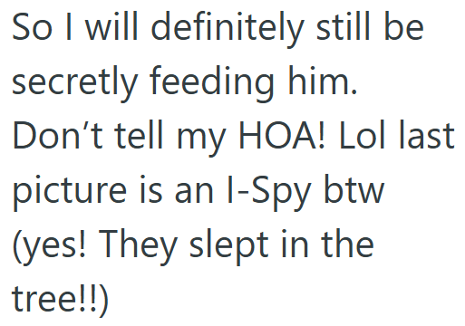 So I will definitely still be secretly feeding him. Don't tell my HOA! Lol last picture is an I-Spy btw (yes! They slept in the tree!!)