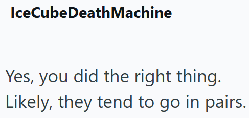 IceCubeDeathMachine Yes, you did the right thing. Likely, they tend to go in pairs.