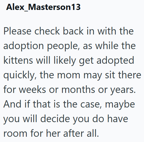 Alex_Masterson 13 Please check back in with the adoption people, as while the kittens will likely get adopted quickly, the mom may sit there for weeks or months or years. And if that is the case, maybe you will decide you do have room for her after all.