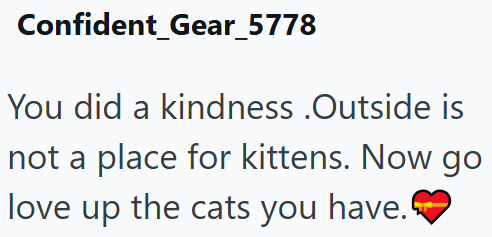 Confident_Gear_5778 You did a kindness .Outside is not a place for kittens. Now go love up the cats you have.