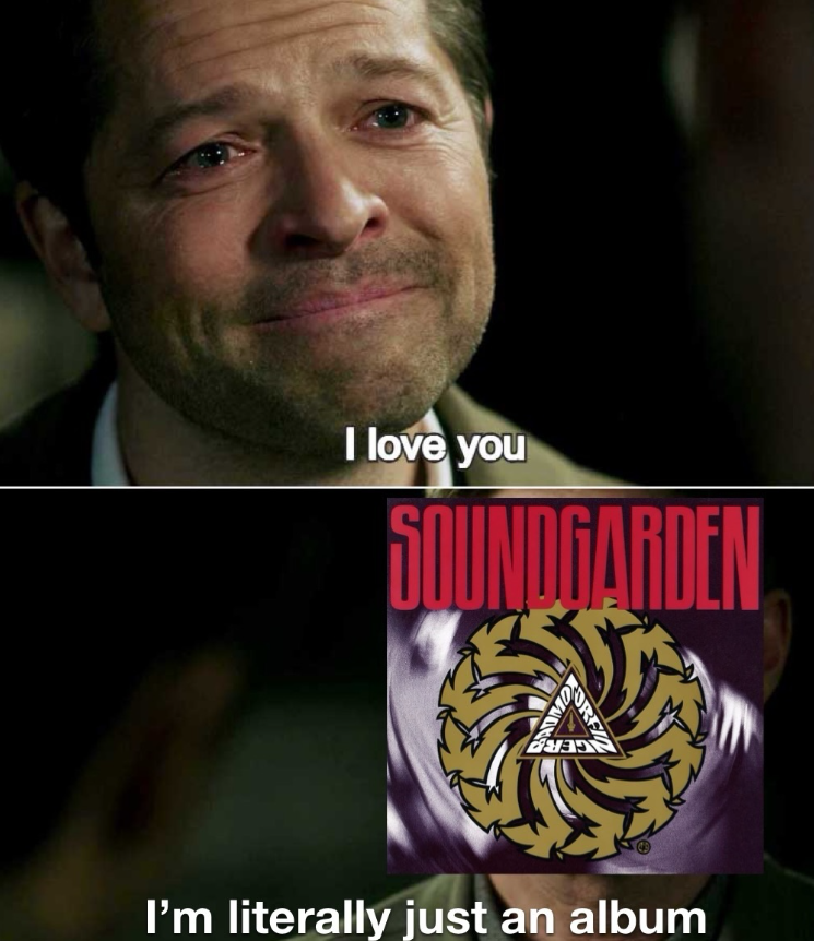 I love you SOUNDGARDEN BADMZ I'm literally just an album