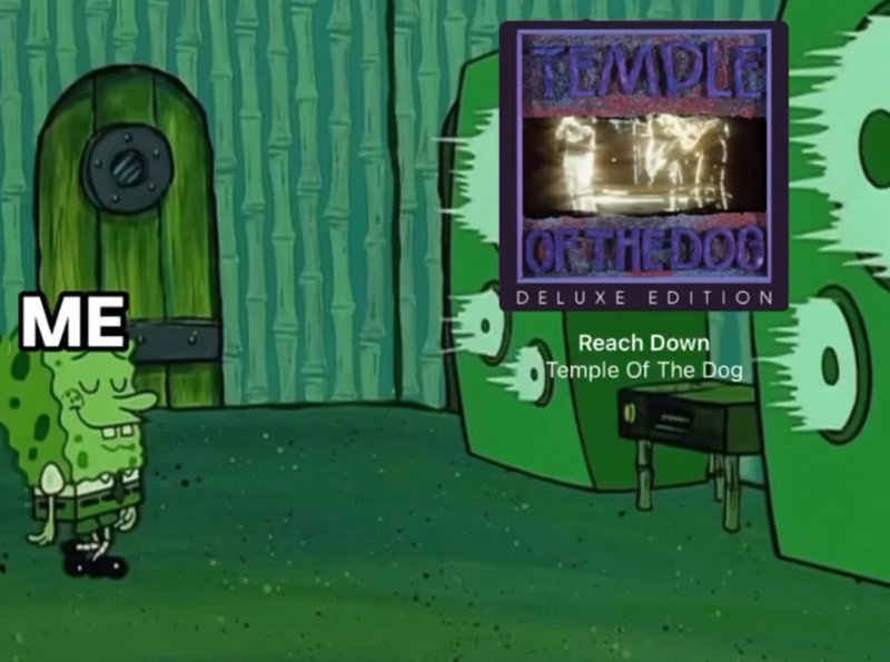 ME SEMPLE OFTHEDOG DELUXE EDITION Reach Down Temple Of The Dog