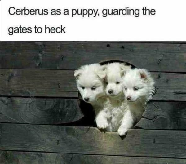 Cerberus as a puppy, guarding the gates to heck