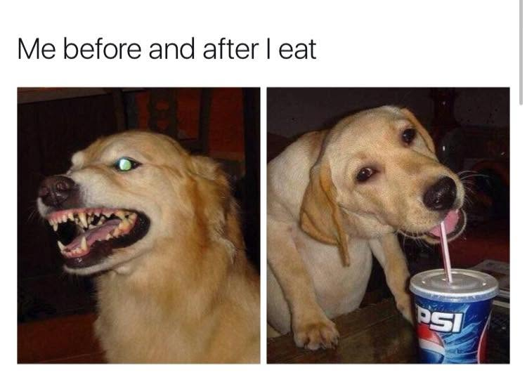 Me before and after I eat PSI
