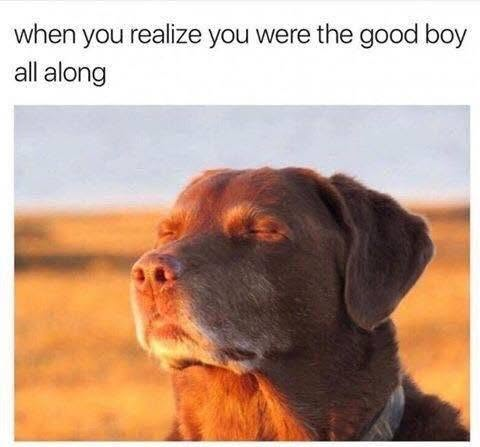 when you realize you were the good boy all along