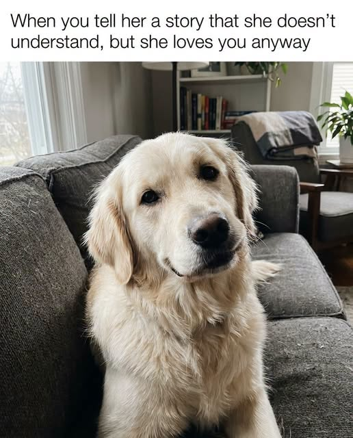 When you tell her a story that she doesn't understand, but she loves you anyway