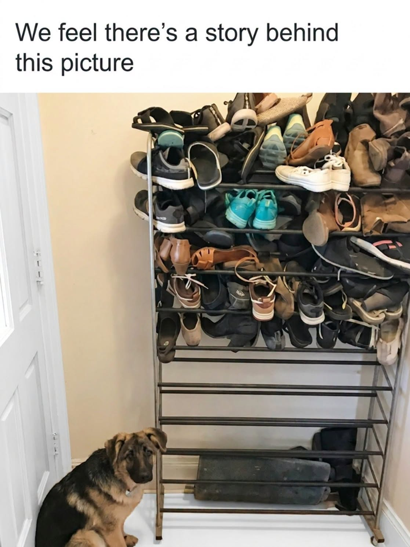 We feel there's a story behind this picture
