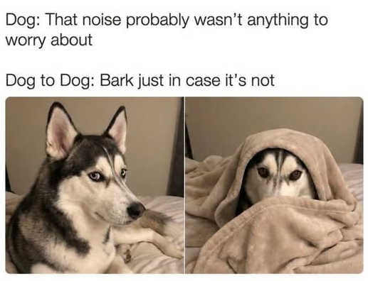 Dog: That noise probably wasn't anything to worry about Dog to Dog: Bark just in case it's not