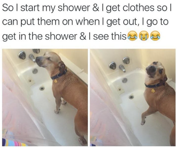 So I start my shower & I get clothes so I can put them on when I get out, I go to get in the shower & I see this