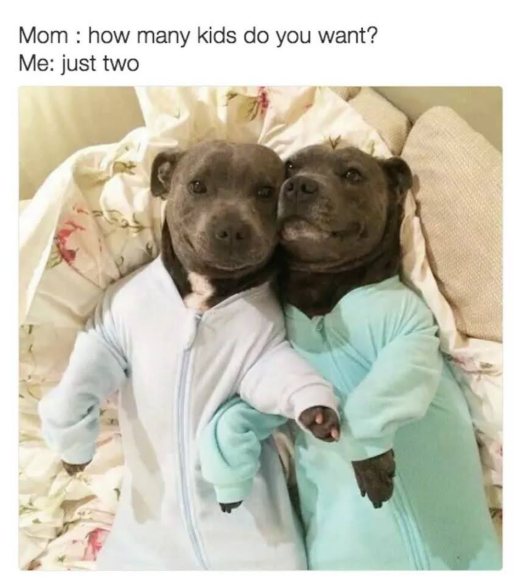 Mom how many kids do you want? Me: just two