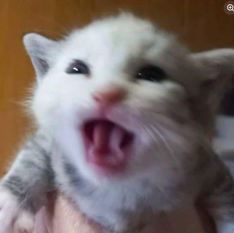 +