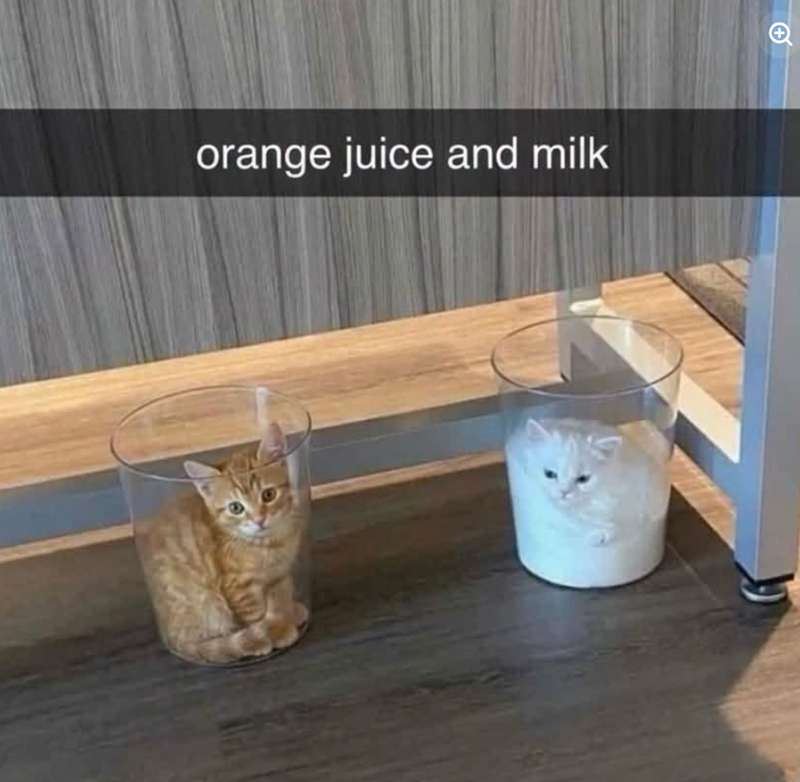 orange juice and milk