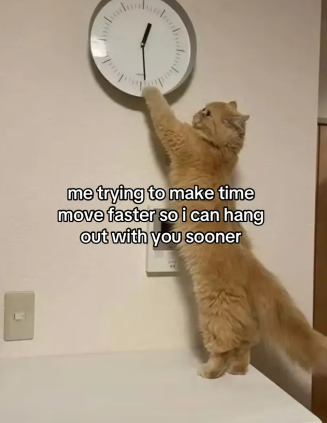me trying to make time move faster so i can hang out with you sooner