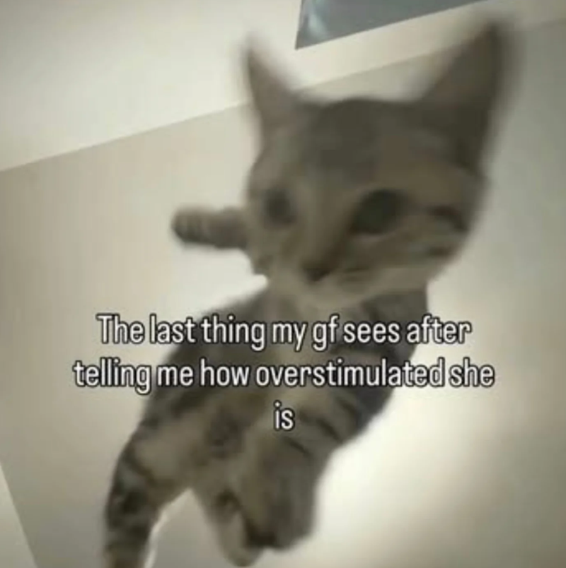 The last thing my gf sees after telling me how overstimulated she is