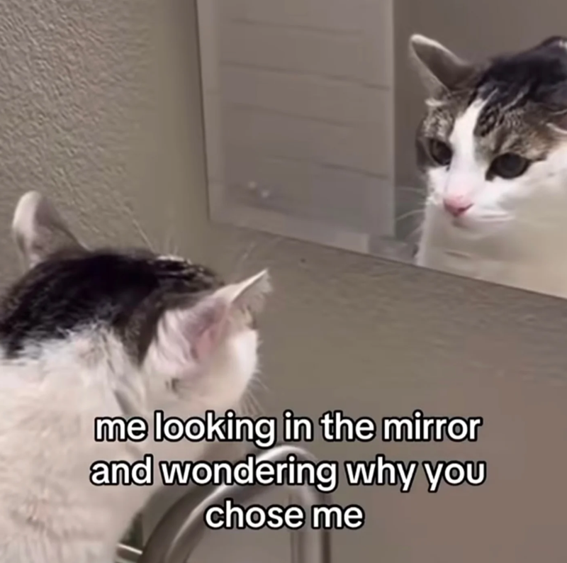 me looking in the mirror and wondering why you chose me