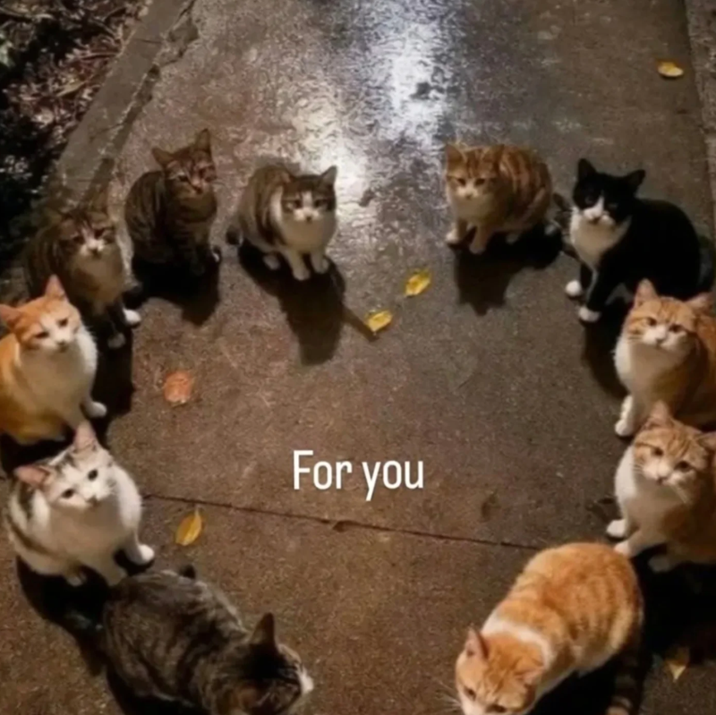 For you