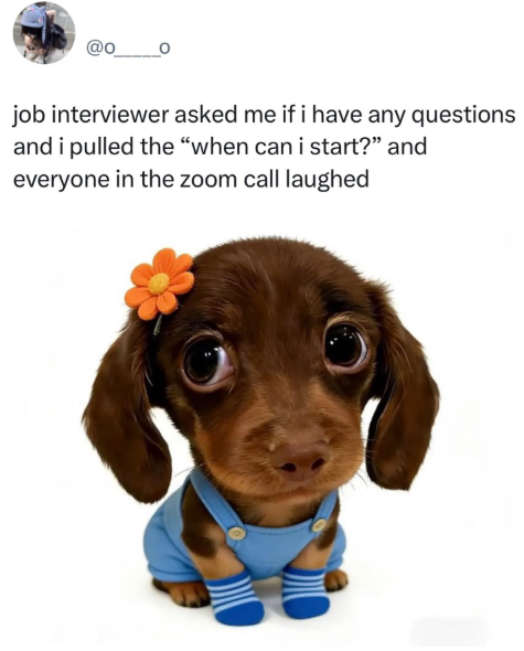 job interviewer asked me if i have any questions and i pulled the "when can i start?" and everyone in the zoom call laughed