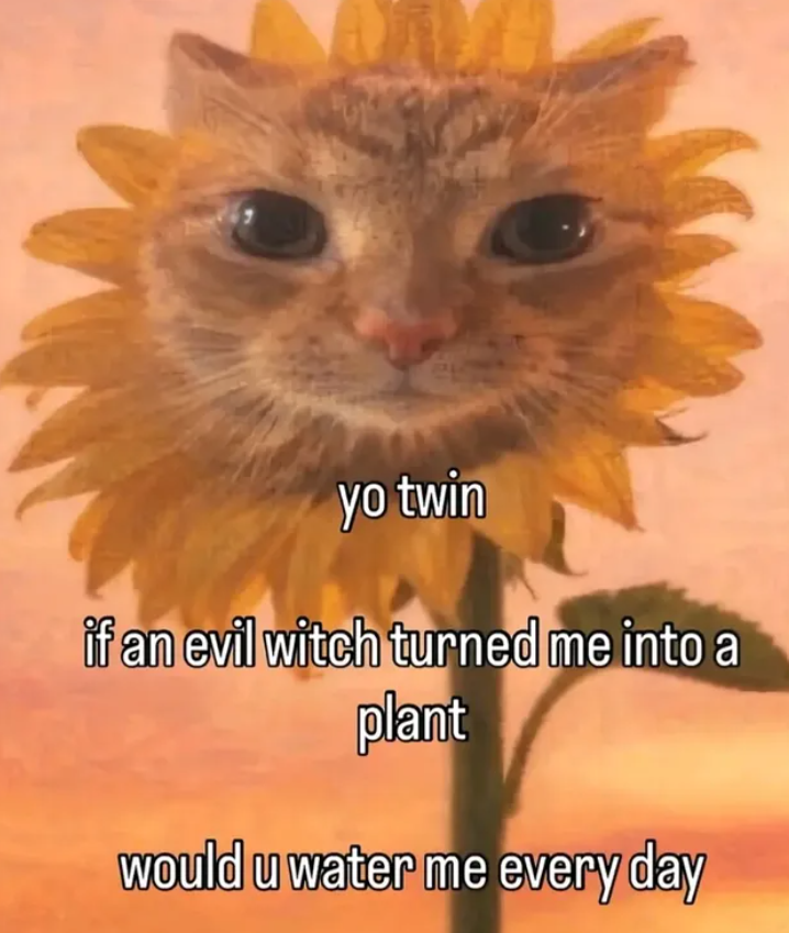yo twin if an evil witch turned me into a plant would u water me every day