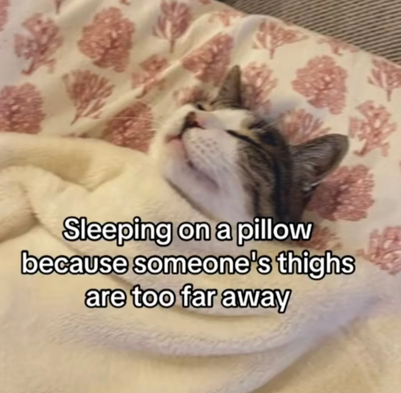 9% Sleeping on a pillow because someone's thighs are too far away