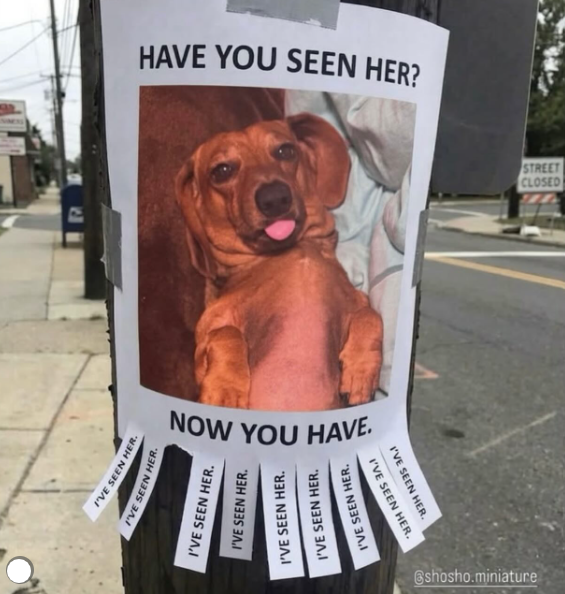 I'VE SEEN HER. I'VE SEEN HER. HAVE YOU SEEN HER? NOW YOU HAVE. I'VE SEEN HER. I'VE SEEN HER. I'VE SEEN HER. I'VE SEEN HER. I'VE SEEN HER. I'VE SEEN HER. I'VE SEEN HER. @shosho.miniature STREET CLOSED