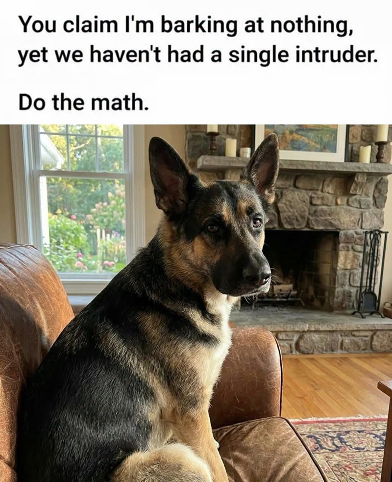 You claim I'm barking at nothing, yet we haven't had a single intruder. Do the math.