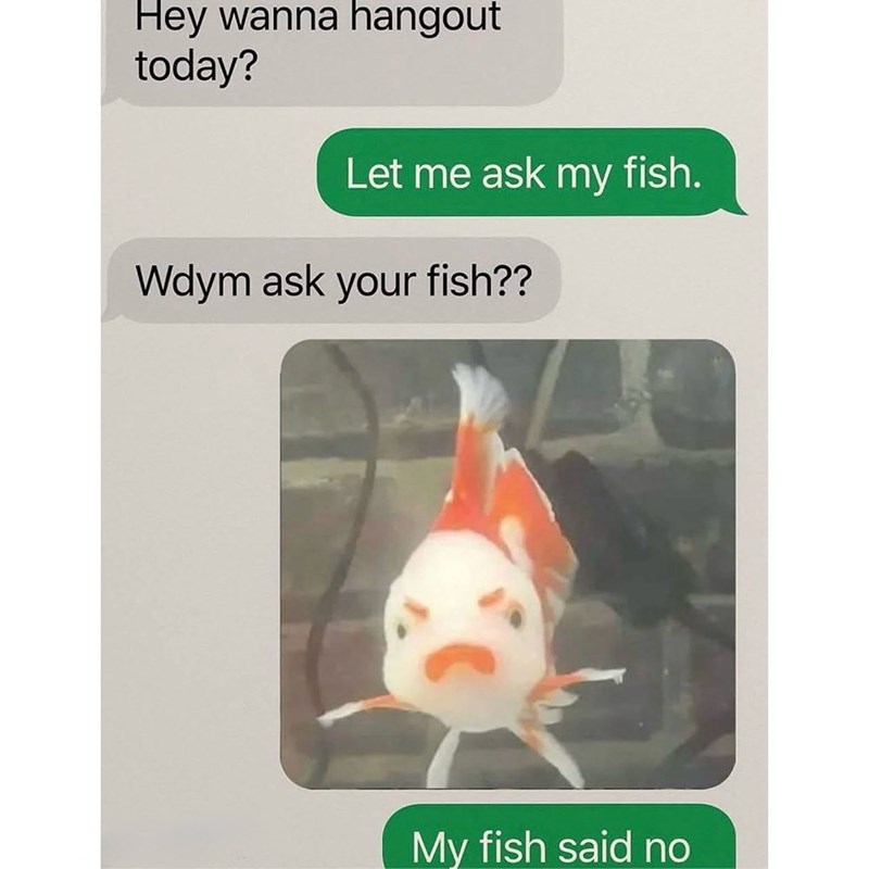 Hey wanna hangout today? Let me ask my fish. Wdym ask your fish?? My fish said no