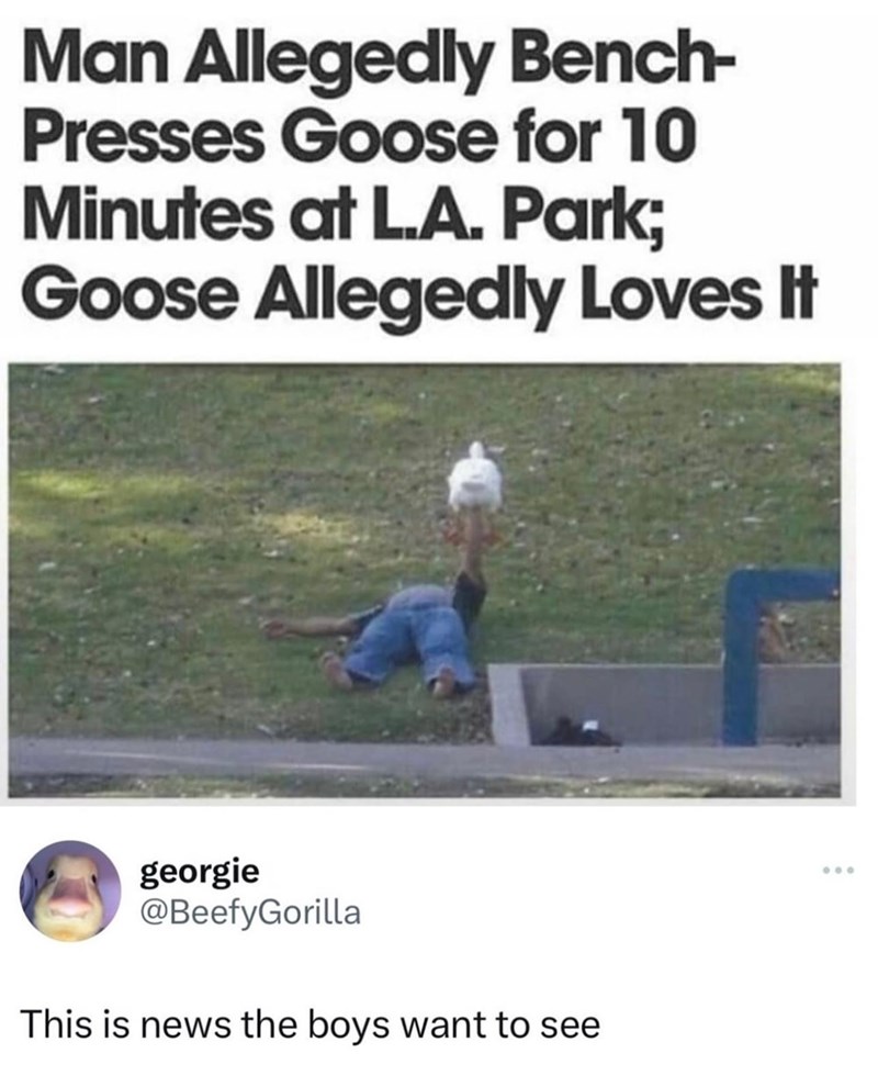 Man Allegedly Bench- Presses Goose for 10 Minutes at L.A. Park; Goose Allegedly Loves It georgie @BeefyGorilla This is news the boys want to see 000