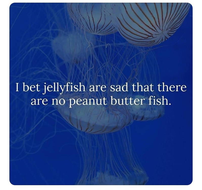 I bet jellyfish are sad that there are no peanut butter fish.
