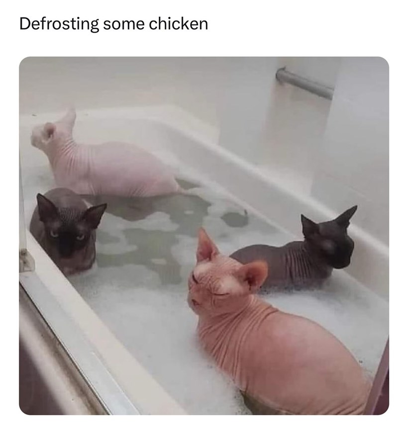 Defrosting some chicken