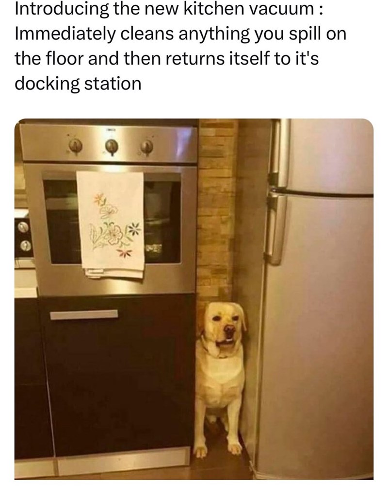 Introducing the new kitchen vacuum: Immediately cleans anything you spill on the floor and then returns itself to it's docking station