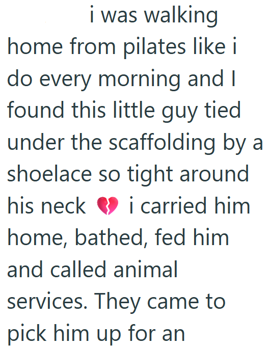 i was walking home from pilates like i do every morning and I found this little guy tied under the scaffolding by a shoelace so tight around his neck i carried him home, bathed, fed him and called animal services. They came to pick him up for an