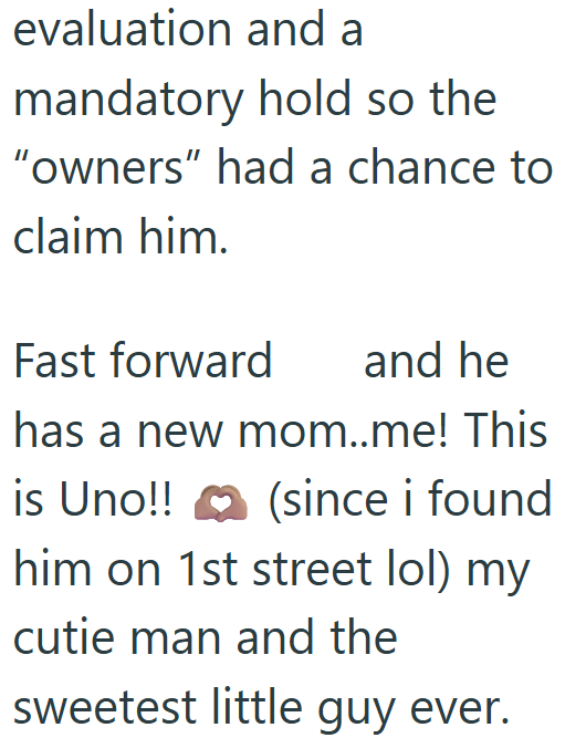 evaluation and a mandatory hold so the "owners" had a chance to claim him. Fast forward and he has a new mom..me! This is Uno!! (since i found him on 1st street lol) my cutie man and the sweetest little guy ever.