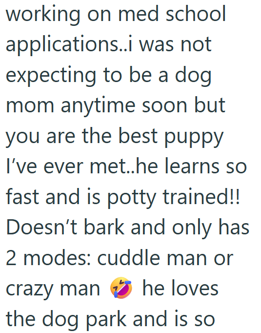 working on med school applications..i was not expecting to be a dog mom anytime soon but you are the best puppy I've ever met..he learns so fast and is potty trained!! Doesn't bark and only has 2 modes: cuddle man or crazy man he loves the dog park and is so