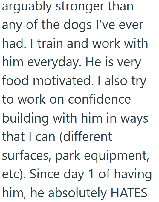 arguably stronger than any of the dogs I've ever had. I train and work with him everyday. He is very food motivated. I also try to work on confidence building with him in ways that I can (different surfaces, park equipment, etc). Since day 1 of having him, he absolutely HATES