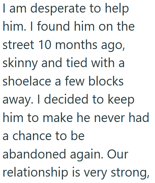 I am desperate to help him. I found him on the street 10 months ago, skinny and tied with a shoelace a few blocks away. I decided to keep him to make he never had a chance to be abandoned again. Our relationship is very strong,