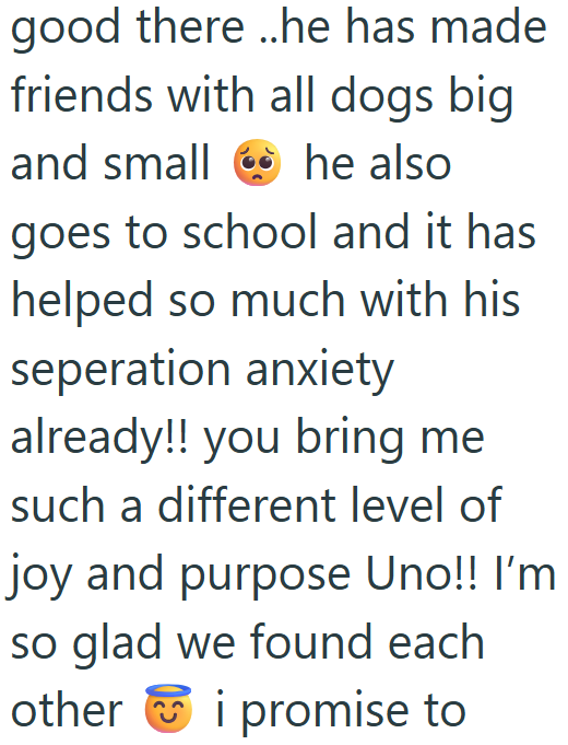 good there ..he has made friends with all dogs big and small he also goes to school and it has helped so much with his seperation anxiety already!! you bring me such a different level of joy and purpose Uno!! I'm so glad we found each other i promise to