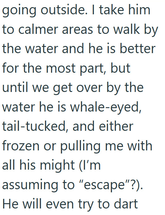 going outside. I take him to calmer areas to walk by the water and he is better for the most part, but until we get over by the water he is whale-eyed, tail-tucked, and either frozen or pulling me with all his might (I'm assuming to "escape"?). He will even try to dart